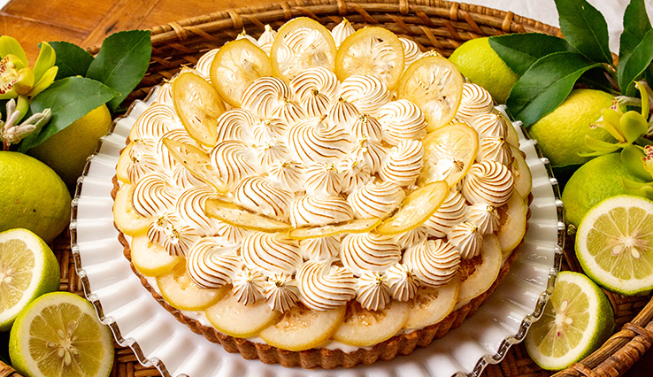 【新作・店舗限定】愛媛県今治市産 “越智今治レモン”のタルト