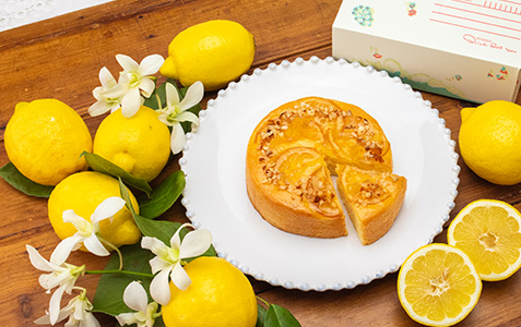 【新作・数量限定】レモンのパウンドケーキ